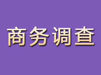 汨罗商务调查